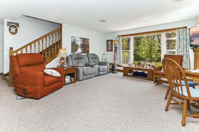 17425 Northwood Dr, Paynesville Twp, MN 56362 - photo 17