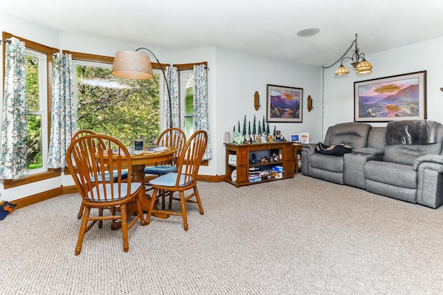 17425 Northwood Dr, Paynesville Twp, MN 56362 - photo 18