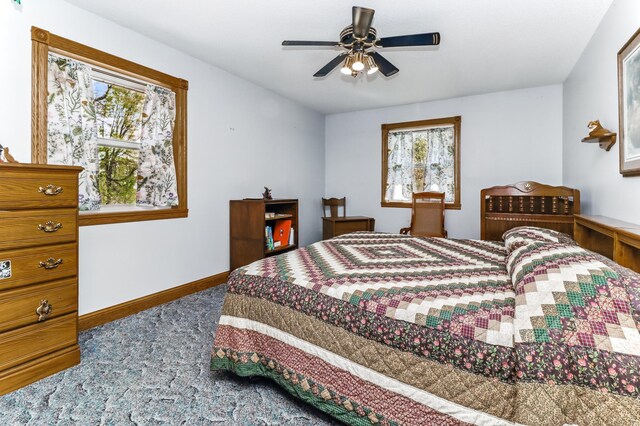 17425 Northwood Dr, Paynesville Twp, MN 56362 - photo 33