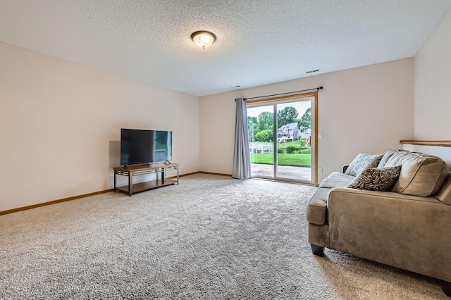 13546 Maryland Ave, Savage, MN 55378 - living room featuring carpet floors and a textured ceiling