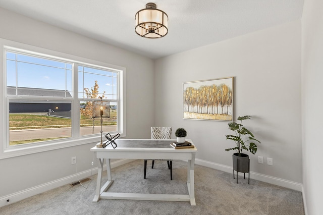 15587 Hampshire Ln, Savage, MN 55378 - home office with baseboards and carpet