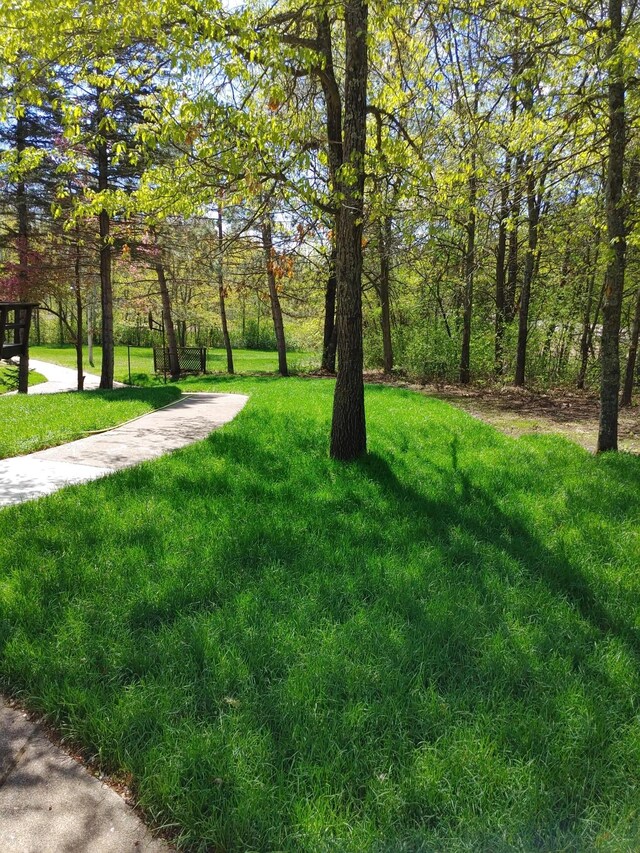 3245 Laketown Rd, Sturgeon Lake, MN 55783 - view of grassy yard