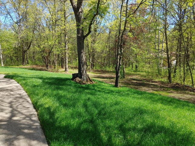 3245 Laketown Rd, Sturgeon Lake, MN 55783 - view of grassy yard featuring a view of trees