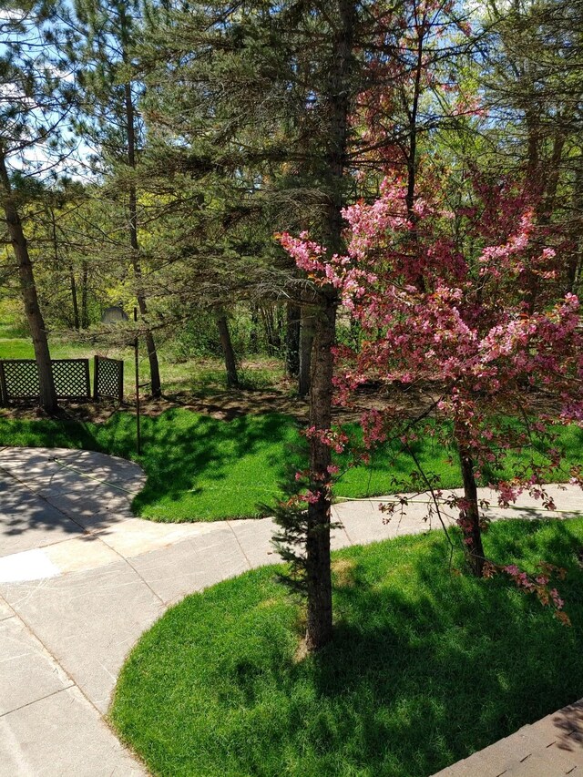3245 Laketown Rd, Sturgeon Lake, MN 55783 - surrounding community with a lawn