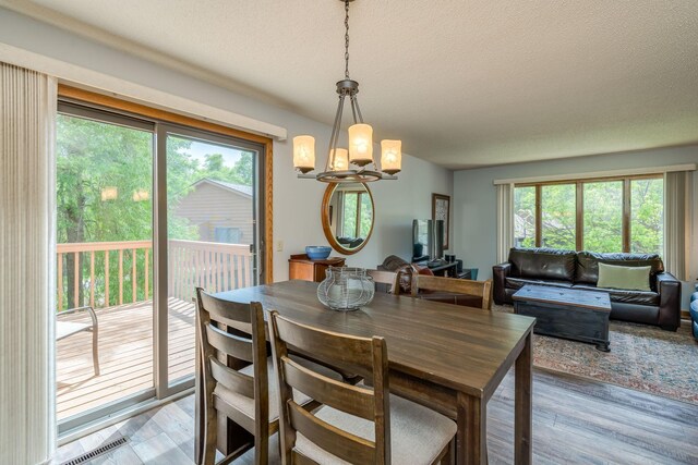 45 Restless Ct Unit 101, North Mankato, MN 56003 - dining space featuring a chandelier, wood finished floors, and a textured ceiling