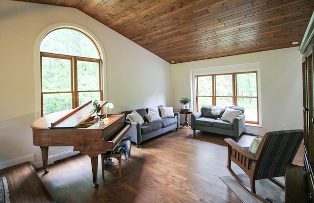 10551 Shore Dr, Merrifield, MN 56465 - living area featuring vaulted ceiling, plenty of natural light, wood finished floors, wooden ceiling, and baseboards