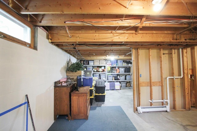 10551 Shore Dr, Merrifield, MN 56465 - unfinished below grade area with baseboard heating