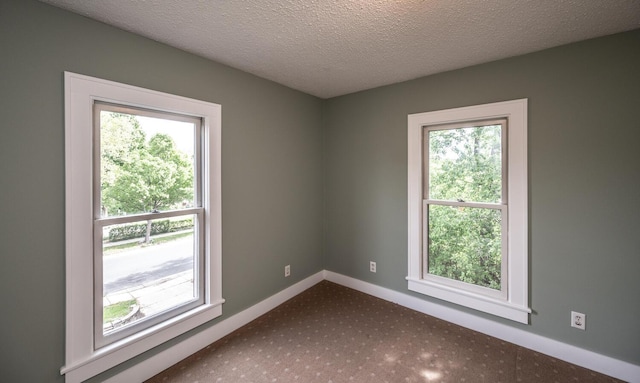 711 2nd St W, Northfield, MN 55057 - spare room featuring dark colored carpet, baseboards, and a textured ceiling