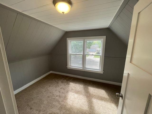 additional living space with carpet floors, baseboards, and lofted ceiling