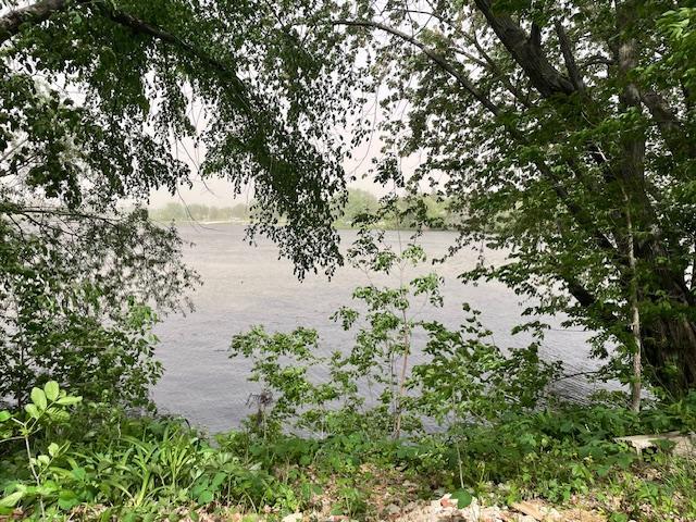 408 13th St NE, Austin, MN 55912 - view of local wilderness