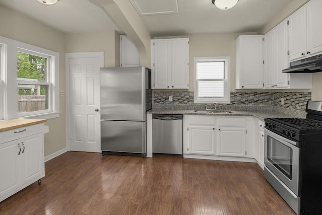139 Annapolis St E, Saint Paul, MN 55118 - kitchen with appliances with stainless steel finishes, under cabinet range hood, a sink, and decorative backsplash