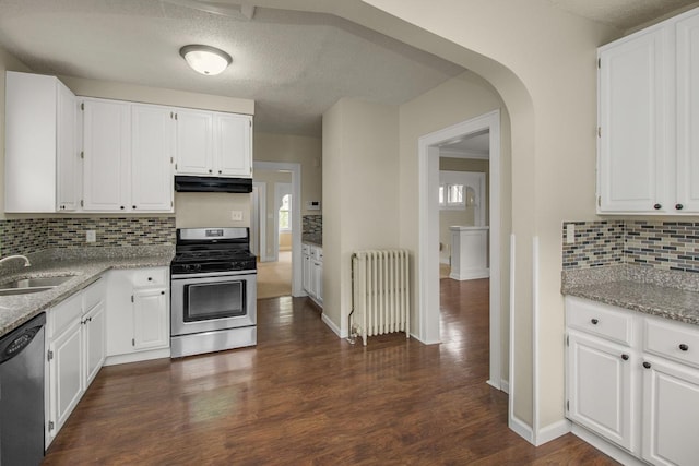 139 Annapolis St E, Saint Paul, MN 55118 - kitchen with stainless steel appliances, radiator heating unit, under cabinet range hood, a sink, and backsplash