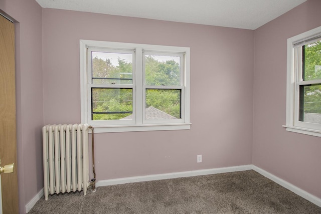 139 Annapolis St E, Saint Paul, MN 55118 - carpeted empty room featuring radiator heating unit and baseboards