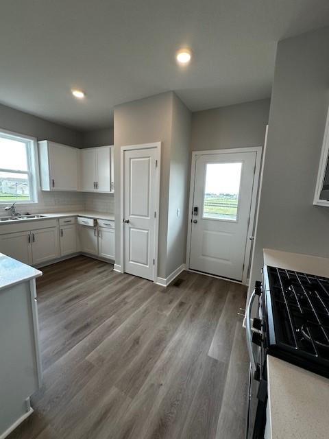 17022 Draper Way, Lakeville, MN 55044 - photo 6
