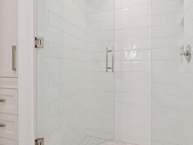 1111 River Pkwy Unit 33A, Minneapolis, MN 55415 - bathroom featuring a stall shower