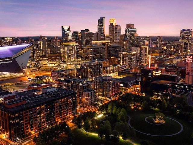 1111 River Pkwy Unit 33A, Minneapolis, MN 55415 - view of city