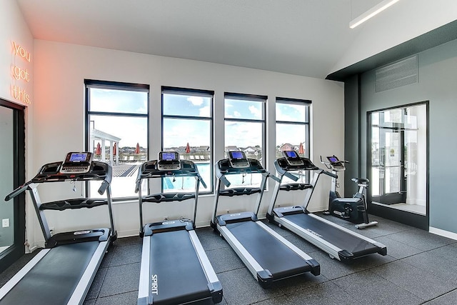 17090 Dimension Ave, Lakeville, MN 55044 - exercise room with vaulted ceiling and baseboards