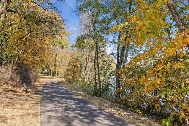 17090 Dimension Ave, Lakeville, MN 55044 - view of street featuring a wooded view