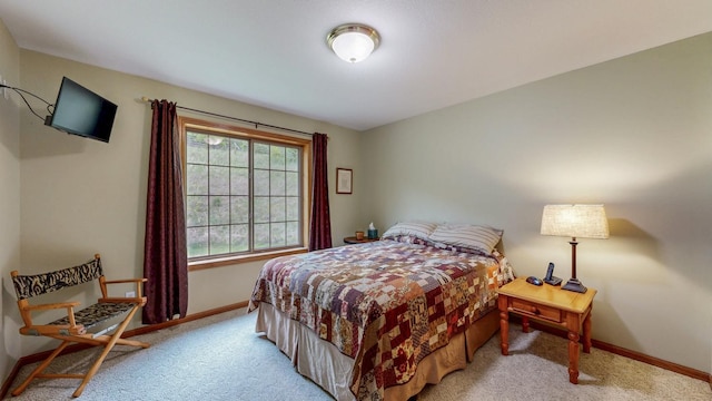 9484 Branch Rd SE, Chatfield, MN 55923 - bedroom featuring light colored carpet and baseboards