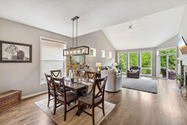 18764 Farmstead Cir, Eden Prairie, MN 55347 - dining space with healthy amount of natural light, wood finished floors, a ceiling fan, a chandelier, and a textured ceiling