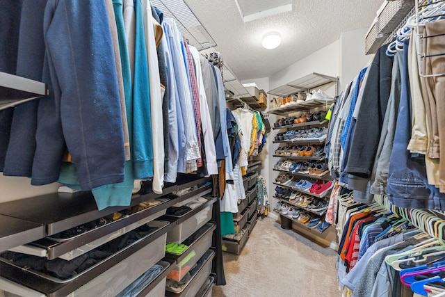 18764 Farmstead Cir, Eden Prairie, MN 55347 - walk in closet with carpet