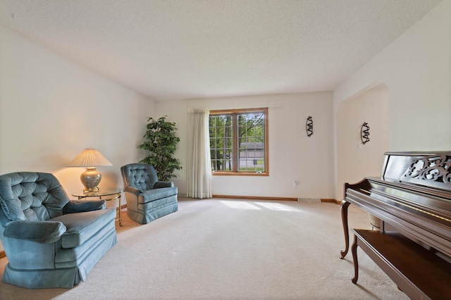 4975 Maribe Dr, Hermantown, MN 55811 - sitting room with carpet floors, baseboards, and a textured ceiling