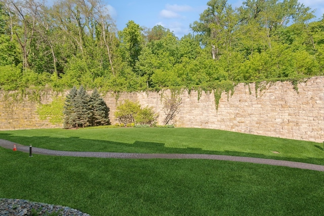 630 Main St N Unit 203, Stillwater, MN 55082 - view of green lawn