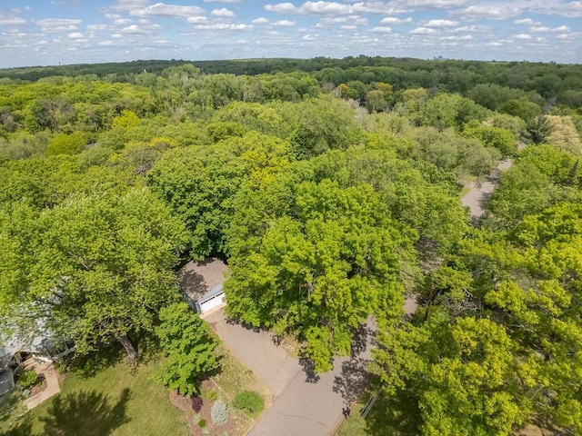 15210 Mckenzie Blvd, Minnetonka, MN 55345 - aerial view of a heavily wooded area