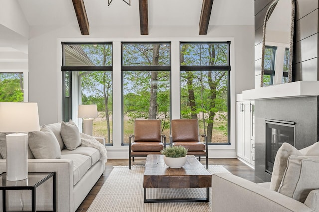 202 176th Ln NE, Ham Lake, MN 55304 - living room featuring healthy amount of natural light, dark wood-style flooring, and a glass covered fireplace