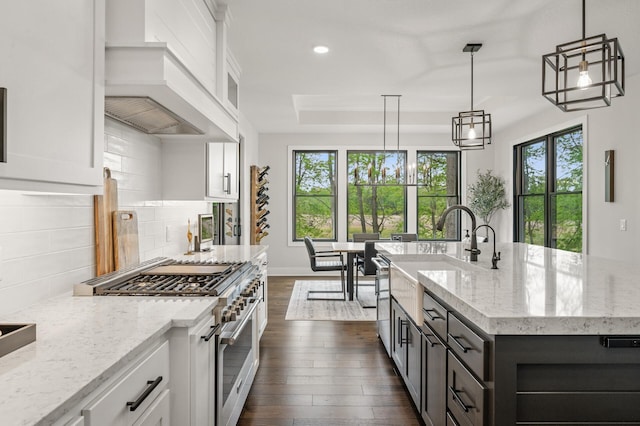 202 176th Ln NE, Ham Lake, MN 55304 - kitchen with high end range, plenty of natural light, white cabinets, a sink, and recessed lighting