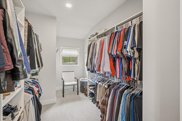 202 176th Ln NE, Ham Lake, MN 55304 - spacious closet with carpet flooring and lofted ceiling