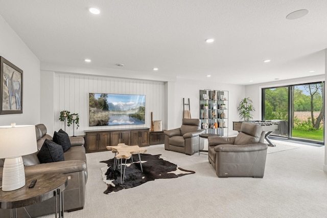 202 176th Ln NE, Ham Lake, MN 55304 - living room with carpet flooring and recessed lighting