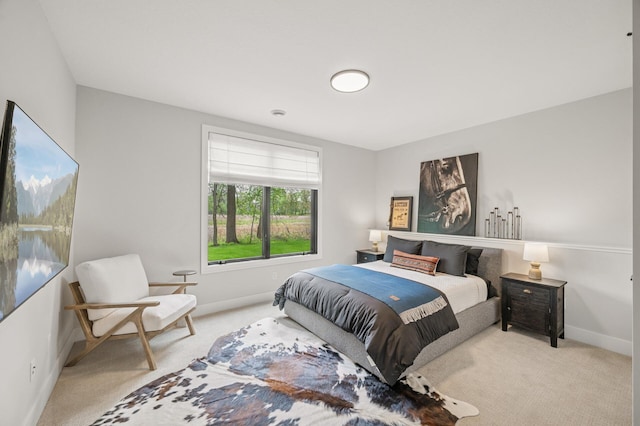 202 176th Ln NE, Ham Lake, MN 55304 - bedroom featuring carpet and baseboards