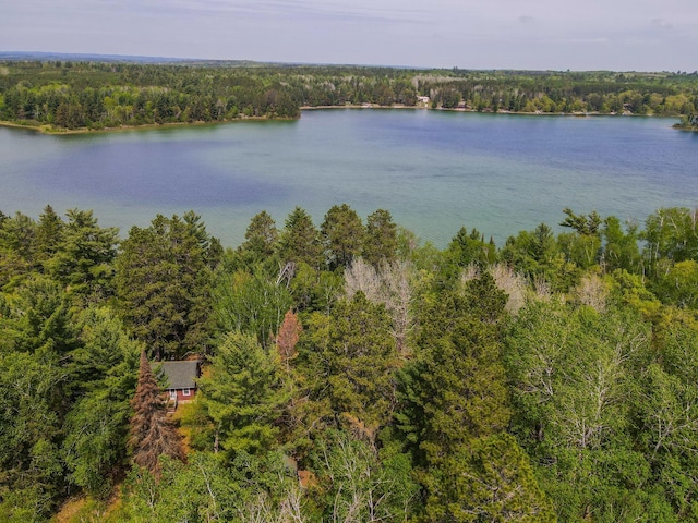 19198 Eiderdown Dr, Akeley, MN 56433 - photo 3