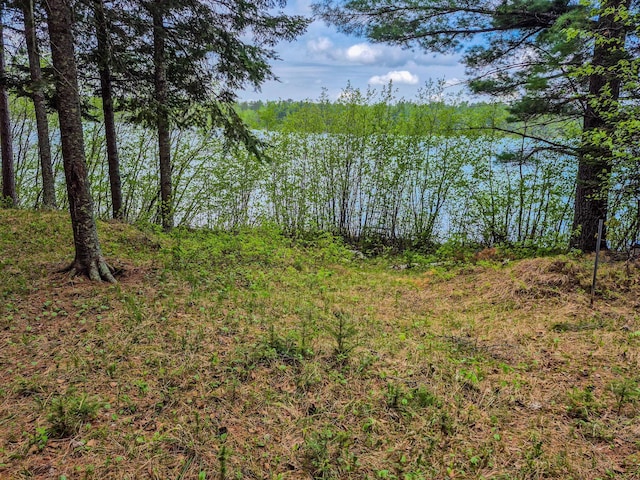 19198 Eiderdown Dr, Akeley, MN 56433 - photo 18