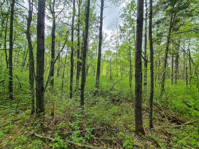 19198 Eiderdown Dr, Akeley, MN 56433 - photo 32