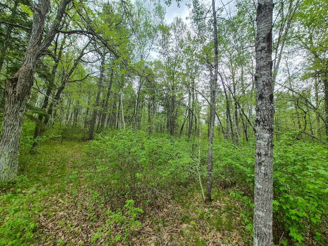 19198 Eiderdown Dr, Akeley, MN 56433 - photo 36