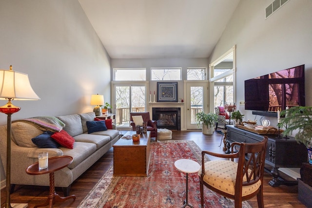 2513 Aspen Ln SW, Rochester, MN 55902 - living area featuring high vaulted ceiling, plenty of natural light, wood finished floors, and a glass covered fireplace