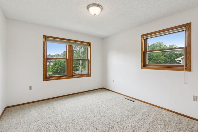 1039 Briar Creek Rd, Eagan, MN 55123 - unfurnished room with healthy amount of natural light, carpet flooring, baseboards, and a textured ceiling