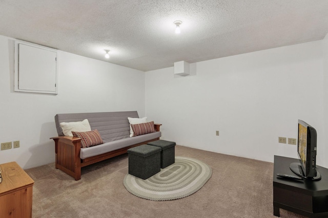 1039 Briar Creek Rd, Eagan, MN 55123 - living area featuring light carpet and a textured ceiling