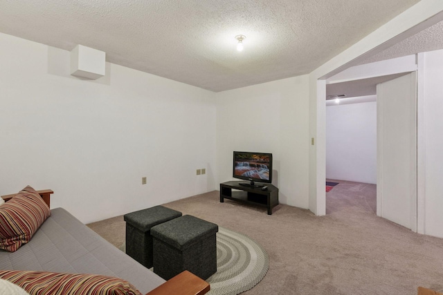 1039 Briar Creek Rd, Eagan, MN 55123 - living area with carpet flooring and a textured ceiling