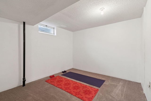 1039 Briar Creek Rd, Eagan, MN 55123 - below grade area featuring carpet and a textured ceiling