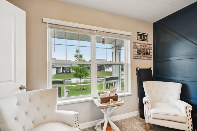 7516 Ochoa Ave NE, Otsego, MN 55330 - living area with baseboards and carpet flooring