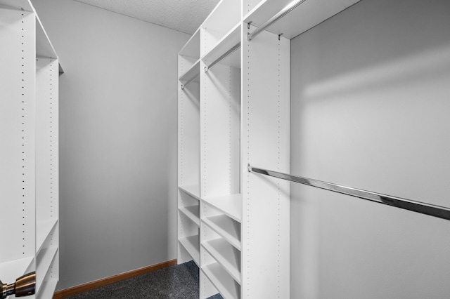 3649 Tower Pond Dr, Anoka, MN 55303 - view of walk in closet