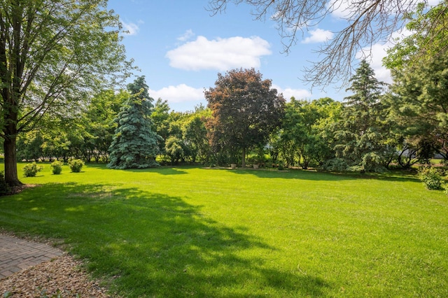 13638 43rd St NE, Saint Michael, MN 55376 - view of green lawn