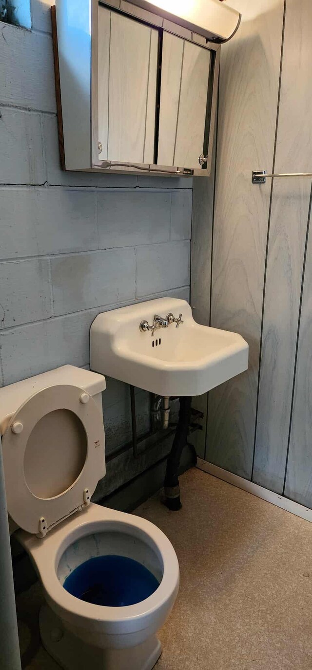 621 16th St, Albert Lea, MN 56007 - half bathroom featuring toilet and a sink