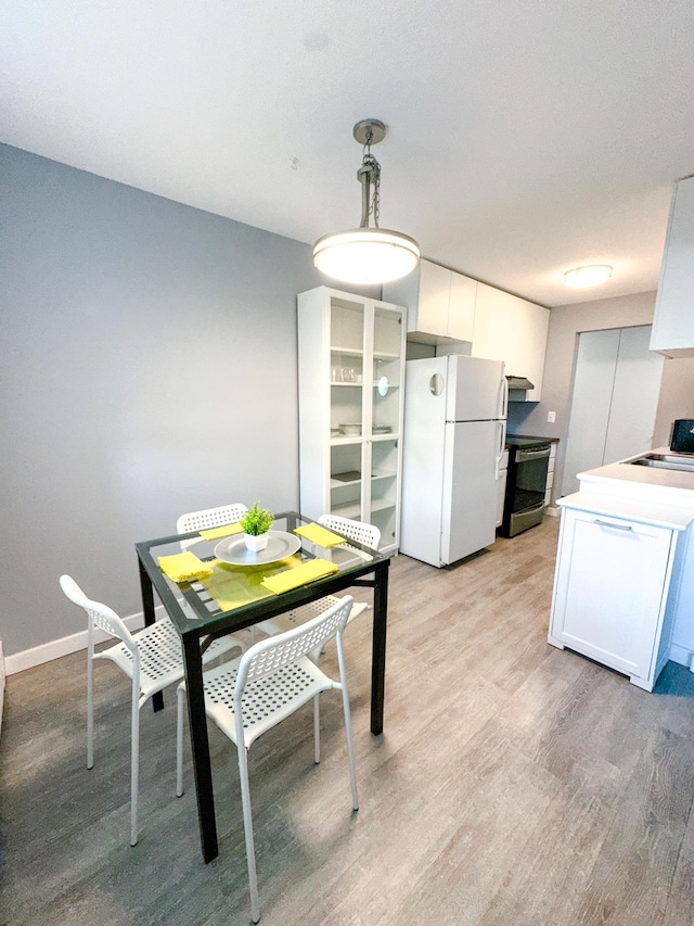4407 Wilshire Blvd Unit 110, Mound, MN 55364 - dining space featuring light wood-style floors and baseboards