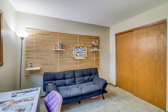 2814 26th Street Cir S, Moorhead, MN 56560 - living area featuring carpet flooring and a textured ceiling