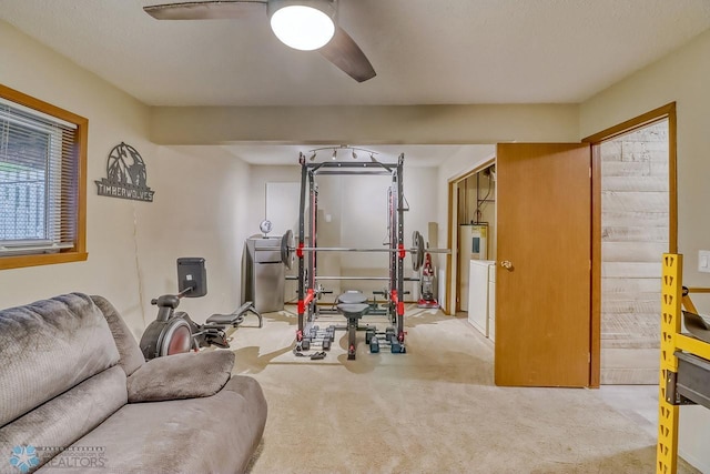 2814 26th Street Cir S, Moorhead, MN 56560 - workout area featuring carpet floors and ceiling fan