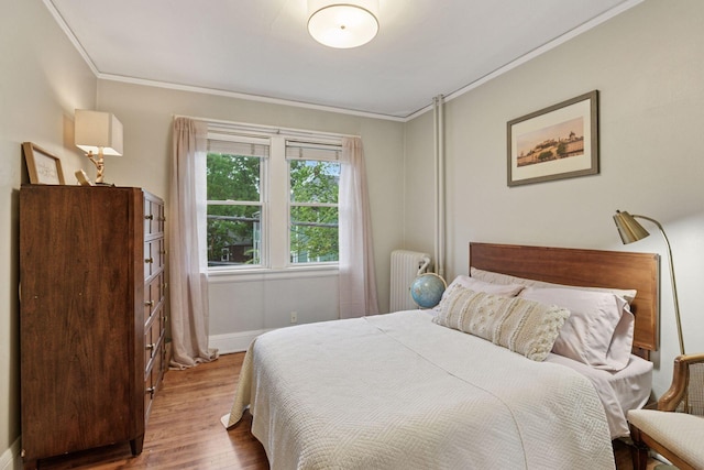 285 Cliff St Unit 4, Saint Paul, MN 55102 - bedroom with wood finished floors, ornamental molding, baseboards, and radiator heating unit